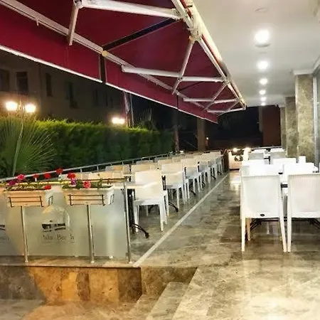 Palm Silifke