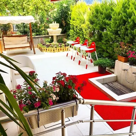 Palm Hotel *