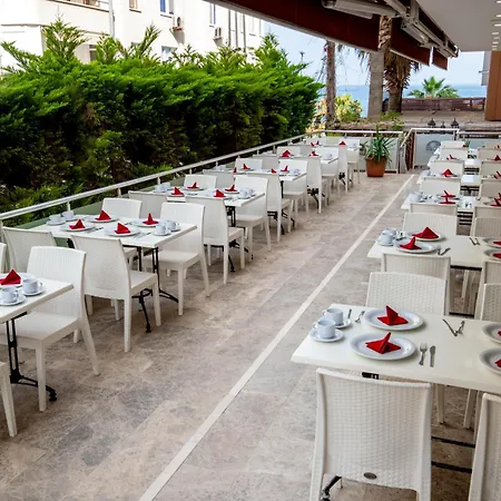 Hotel Palm